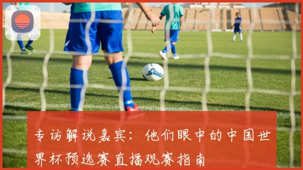 专访解说嘉宾：他们眼中的中国世界杯预选赛直播观赛指南