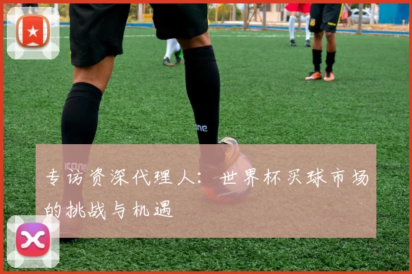 专访资深代理人：世界杯买球市场的挑战与机遇