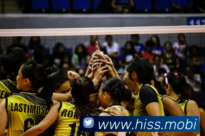 开云app最新版下载网站APP 体育赛事宣传图